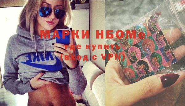 СК Алексин