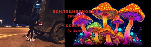 дживик Алексеевка
